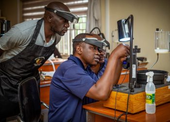 Consider Gemstones as National Assets… NDAJA