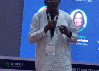 NIMEP  FINDINGS SHOW HIGH-GRADE GOLD, LITHIUM DEPOSITS – GARBA