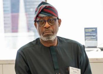 MINING: FGN MOVES TO CURB ENVIRONMENTAL IMPACT AS NATIONAL COUNCIL KICKS OFF