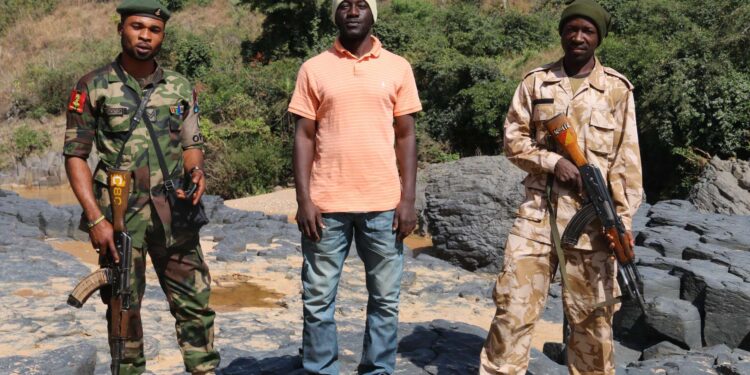 NATURE’S GEOMETRY: My Visit to a Columnar Basalt