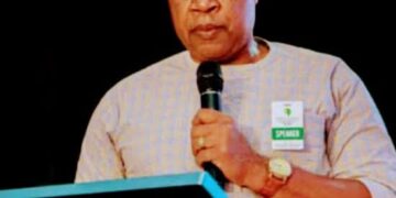 CHIEF EMEKA OKENGWU