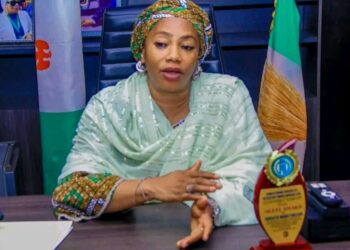 NASARAWA GOVT STOPS MINING FIRM OVER ALLEGED SECURITY INFRACTIONS