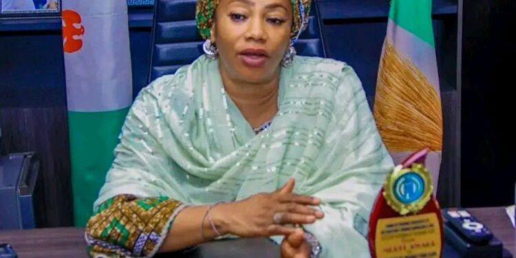 NASARAWA GOVT STOPS MINING FIRM OVER ALLEGED SECURITY INFRACTIONS